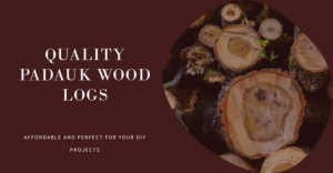 Quality Within Reach: Affordable Padauk Wood Logs for Your Projects